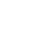 Zalo icon